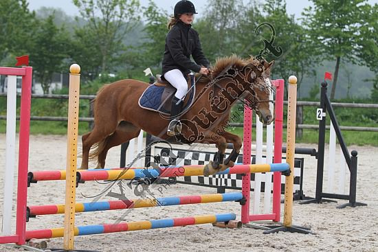 IMG_5951.jpg Dimanche 20 Mai 2012 - Centre équestre de la Scie - CSO 