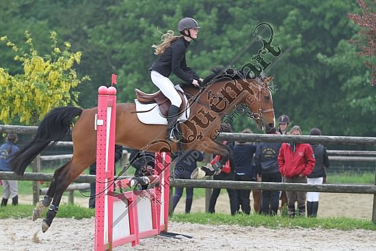 IMG_6090.jpg Dimanche 20 Mai 2012 - Centre équestre de la Scie - CSO 