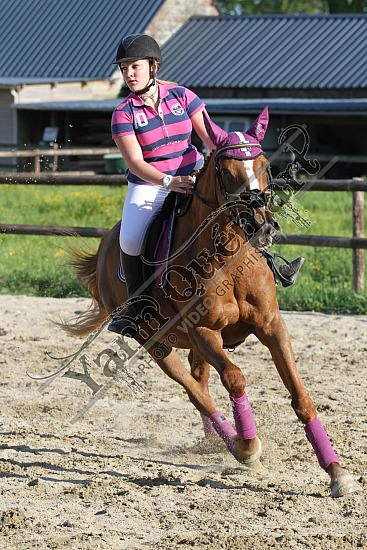 IMG_8331.jpg Lundi 28 Mai 2012 - Elevage du Loir - Fête du club 