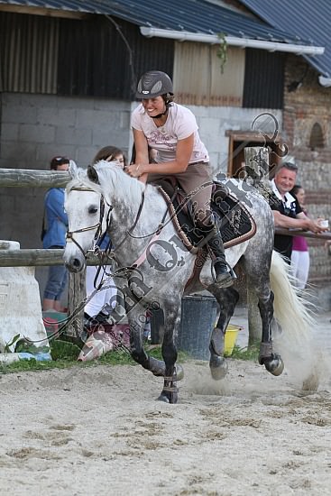 IMG_8312.jpg Lundi 28 Mai 2012 - Elevage du Loir - Fête du club 