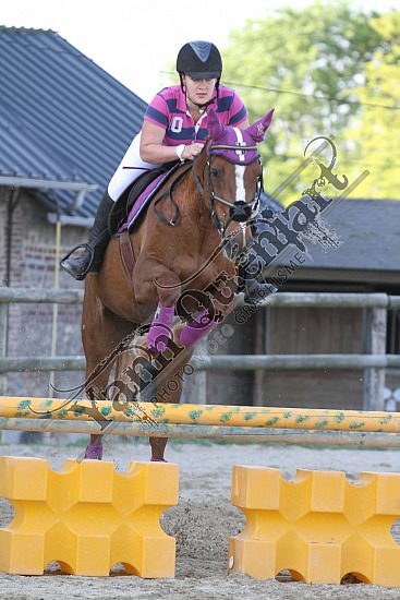 IMG_8323.jpg Lundi 28 Mai 2012 - Elevage du Loir - Fête du club 