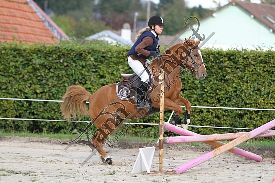 IMG_0188.jpg Dimanche 14 Octobre 2012 - Haras des Vertus - CSO 