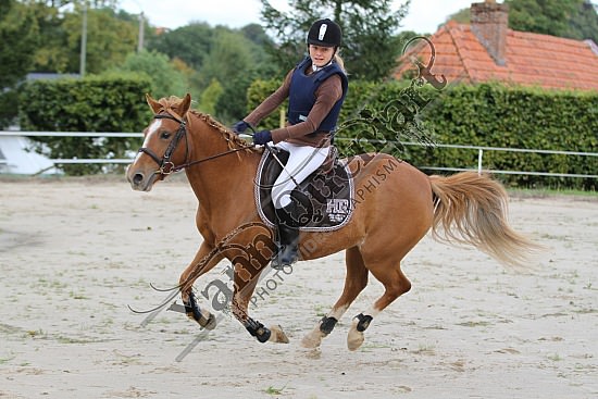 IMG_0199.jpg Dimanche 14 Octobre 2012 - Haras des Vertus - CSO 