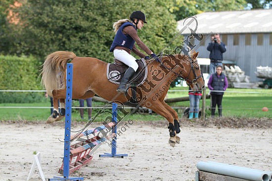 IMG_0194.jpg Dimanche 14 Octobre 2012 - Haras des Vertus - CSO 