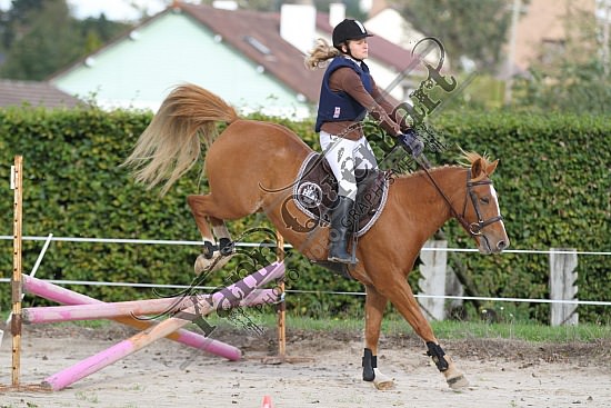 IMG_0192.jpg Dimanche 14 Octobre 2012 - Haras des Vertus - CSO 