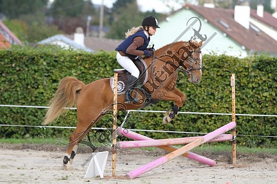 IMG_0189.jpg Dimanche 14 Octobre 2012 - Haras des Vertus - CSO 