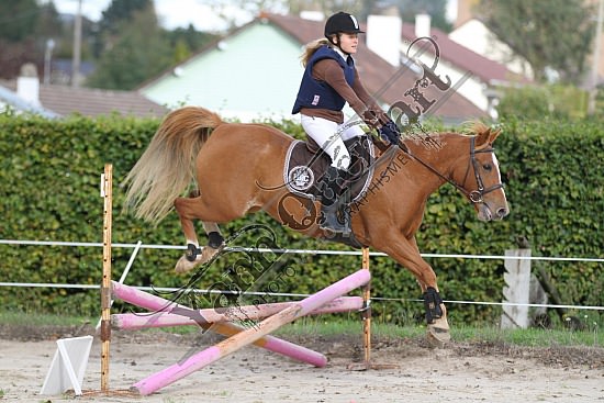IMG_0191.jpg Dimanche 14 Octobre 2012 - Haras des Vertus - CSO 