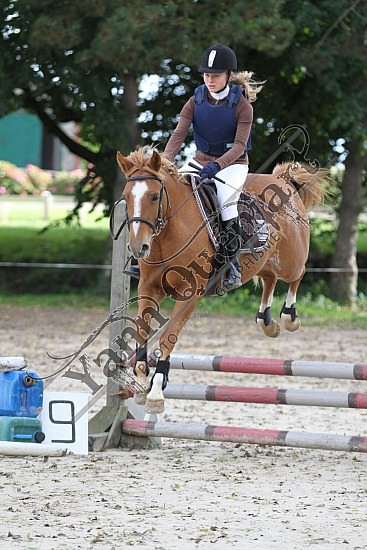 IMG_0184.jpg Dimanche 14 Octobre 2012 - Haras des Vertus - CSO 