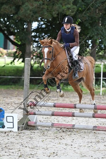 IMG_0183.jpg Dimanche 14 Octobre 2012 - Haras des Vertus - CSO 