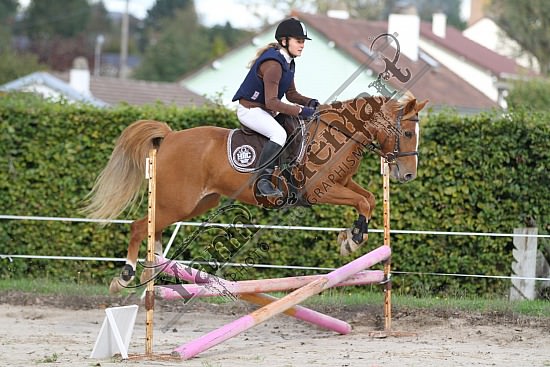 IMG_0190.jpg Dimanche 14 Octobre 2012 - Haras des Vertus - CSO 