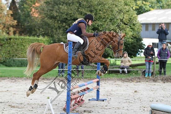 IMG_0193.jpg Dimanche 14 Octobre 2012 - Haras des Vertus - CSO 