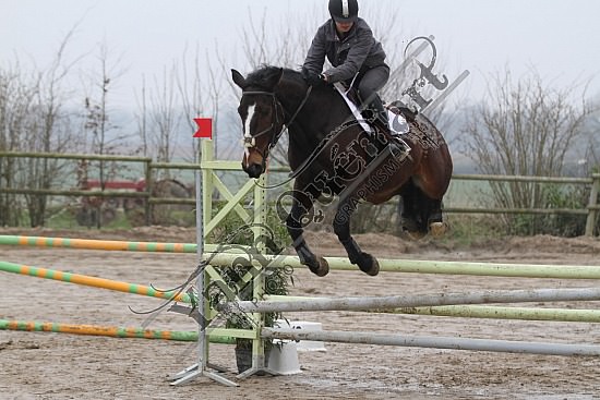 IMG_5460.jpg Dimanche 24 Mars 2013 - Centre équestre du Caillebourg - CSO 