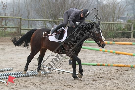 IMG_5464.jpg Dimanche 24 Mars 2013 - Centre équestre du Caillebourg - CSO 