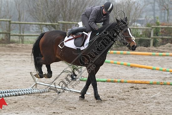 IMG_5465.jpg Dimanche 24 Mars 2013 - Centre équestre du Caillebourg - CSO 