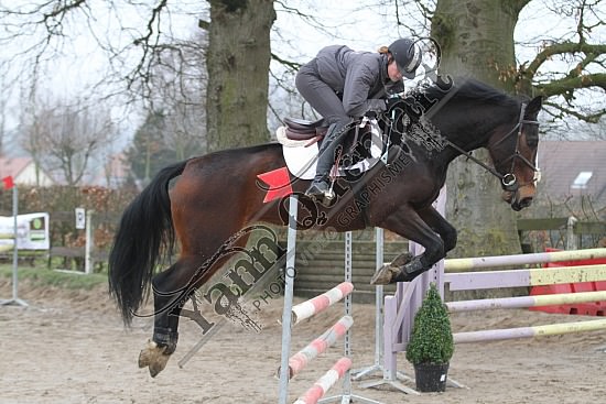 IMG_5469.jpg Dimanche 24 Mars 2013 - Centre équestre du Caillebourg - CSO 