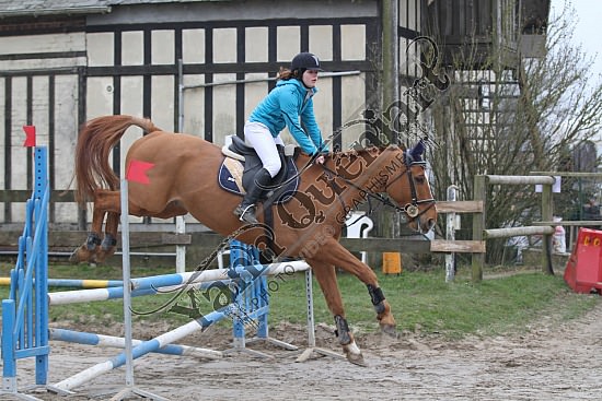 IMG_5475.jpg Dimanche 24 Mars 2013 - Centre équestre du Caillebourg - CSO 