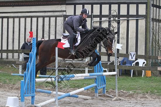 IMG_5450.jpg Dimanche 24 Mars 2013 - Centre équestre du Caillebourg - CSO 