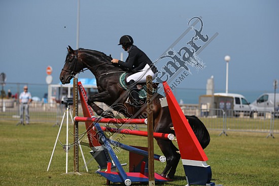 AS7V4285.jpg 18, 19, 20 et 21 Juillet 2013 - Dieppe - CSO 