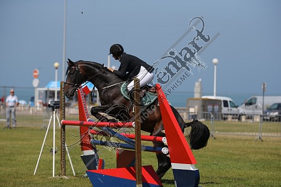 AS7V4284.jpg 18, 19, 20 et 21 Juillet 2013 - Dieppe - CSO 