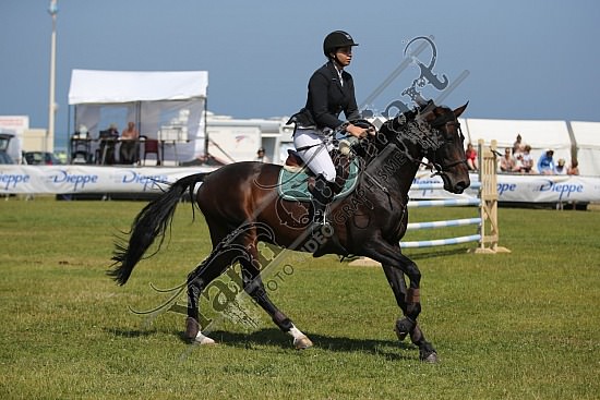 AS7V4269.jpg 18, 19, 20 et 21 Juillet 2013 - Dieppe - CSO 