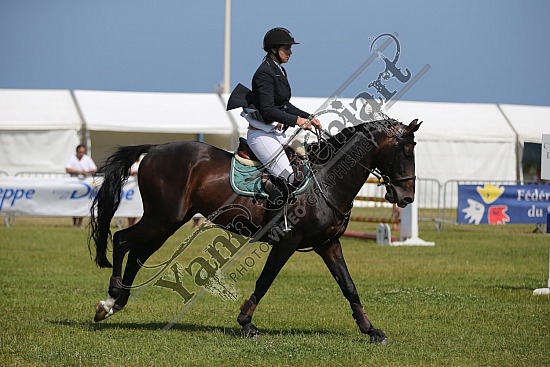 AS7V4279.jpg 18, 19, 20 et 21 Juillet 2013 - Dieppe - CSO 