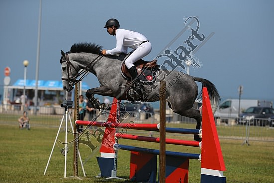 AS7V4263.jpg 18, 19, 20 et 21 Juillet 2013 - Dieppe - CSO 