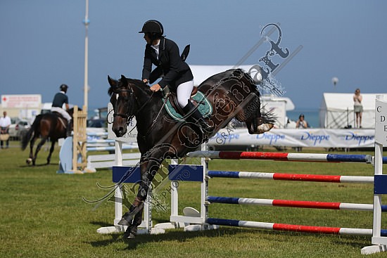 AS7V4272.jpg 18, 19, 20 et 21 Juillet 2013 - Dieppe - CSO 