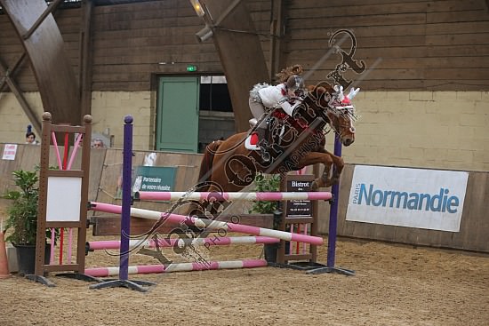 AS7V3231.jpg Dimanche 13 Décembre 2015 - Chevalerie de la Bretèque - Challenge interne 