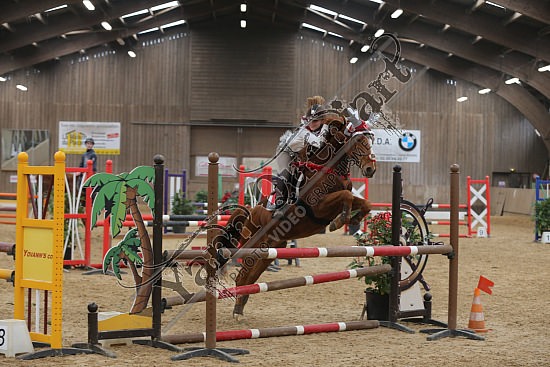 AS7V3233.jpg Dimanche 13 Décembre 2015 - Chevalerie de la Bretèque - Challenge interne 