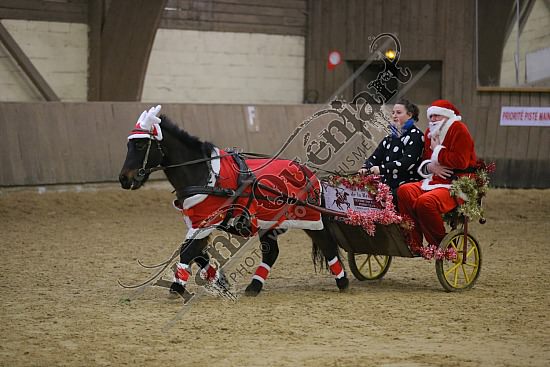 AS7V4024.jpg Dimanche 13 Décembre 2015 - Chevalerie de la Bretèque - Challenge interne 