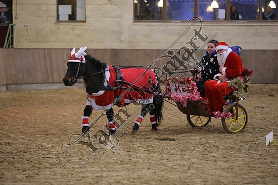 AS7V4025.jpg Dimanche 13 Décembre 2015 - Chevalerie de la Bretèque - Challenge interne 