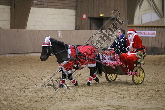 AS7V4023.jpg Dimanche 13 Décembre 2015 - Chevalerie de la Bretèque - Challenge interne 