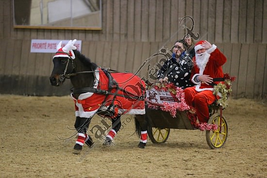 AS7V4021.jpg Dimanche 13 Décembre 2015 - Chevalerie de la Bretèque - Challenge interne 