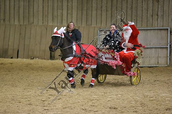 AS7V4020.jpg Dimanche 13 Décembre 2015 - Chevalerie de la Bretèque - Challenge interne 