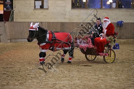 AS7V4026.jpg Dimanche 13 Décembre 2015 - Chevalerie de la Bretèque - Challenge interne 