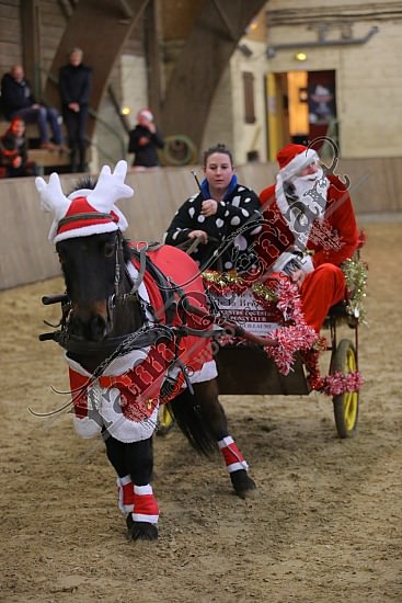 AS7V4032.jpg Dimanche 13 Décembre 2015 - Chevalerie de la Bretèque - Challenge interne 