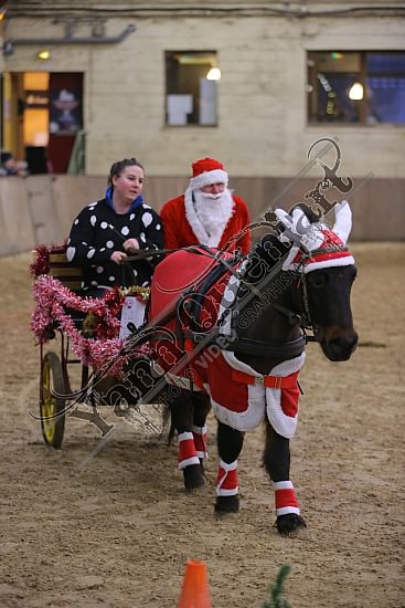 AS7V4030.jpg Dimanche 13 Décembre 2015 - Chevalerie de la Bretèque - Challenge interne 