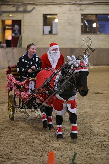 AS7V4029.jpg Dimanche 13 Décembre 2015 - Chevalerie de la Bretèque - Challenge interne 
