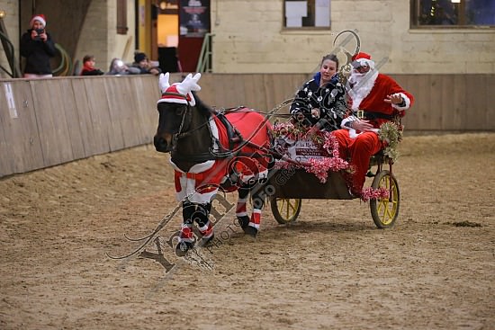 AS7V4028.jpg Dimanche 13 Décembre 2015 - Chevalerie de la Bretèque - Challenge interne 