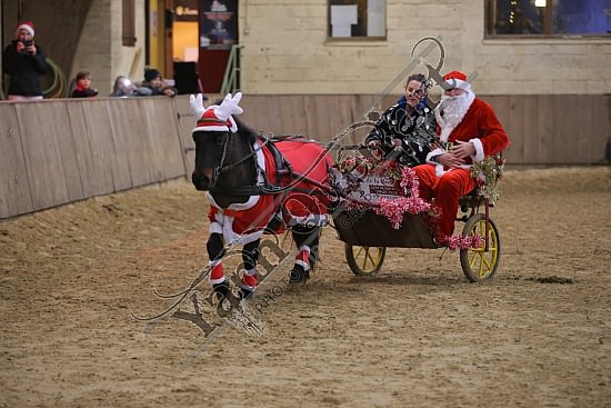AS7V4027.jpg Dimanche 13 Décembre 2015 - Chevalerie de la Bretèque - Challenge interne 