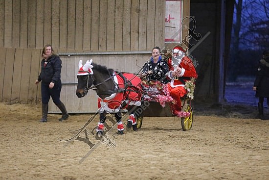 AS7V4018.jpg Dimanche 13 Décembre 2015 - Chevalerie de la Bretèque - Challenge interne 