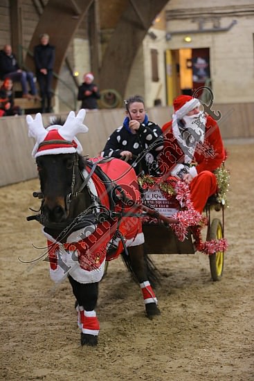 AS7V4031.jpg Dimanche 13 Décembre 2015 - Chevalerie de la Bretèque - Challenge interne 