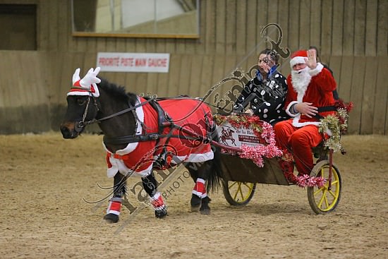 AS7V4022.jpg Dimanche 13 Décembre 2015 - Chevalerie de la Bretèque - Challenge interne 