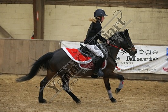 AS7V2509.jpg Dimanche 13 Décembre 2015 - Chevalerie de la Bretèque - Challenge interne 