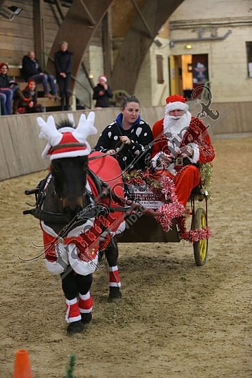 AS7V4034.jpg Dimanche 13 Décembre 2015 - Chevalerie de la Bretèque - Challenge interne 