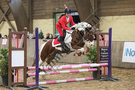 AS7V2519.jpg Dimanche 13 Décembre 2015 - Chevalerie de la Bretèque - Challenge interne 