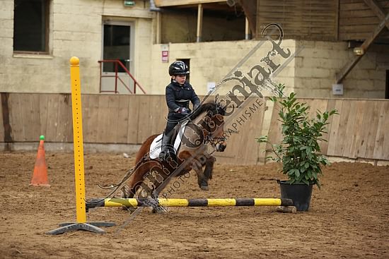 8Q2B7461.jpg Dimanche 1 Février 2015 - Chevalerie de la Bretèque - Equifun 