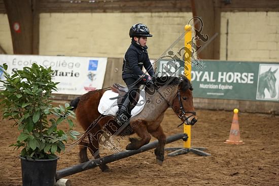 8Q2B7463.jpg Dimanche 1 Février 2015 - Chevalerie de la Bretèque - Equifun 