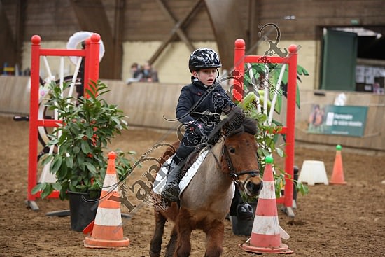 8Q2B7468.jpg Dimanche 1 Février 2015 - Chevalerie de la Bretèque - Equifun 
