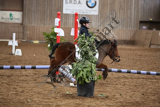 8Q2B7459.jpg Dimanche 1 Février 2015 - Chevalerie de la Bretèque - Equifun 
